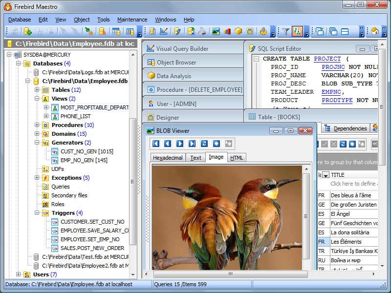 Firebird Maestro 14.1.0.1 software screenshot
