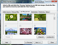Flash File Recovery 6.7 software screenshot