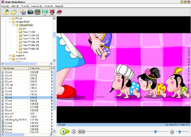 Flash Media Player 3.6 software screenshot