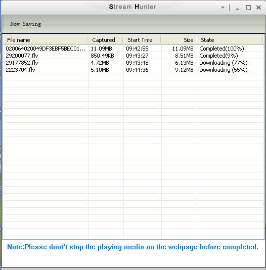 Flash Stream Hunter 1.0.13 software screenshot