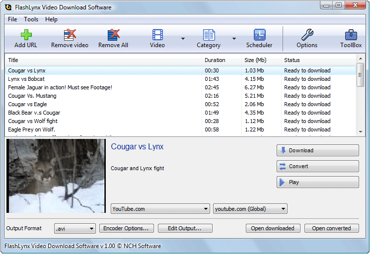 FlashLynx Video Download Software Professional 1.23 Beta software screenshot