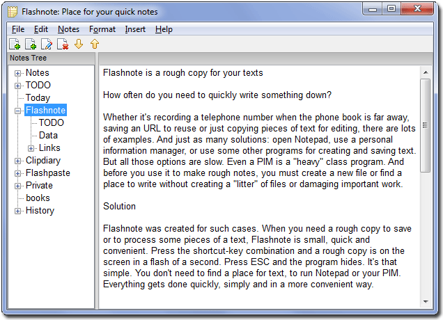 Flashnote 4.8 software screenshot