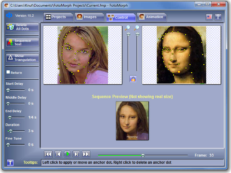 FotoMorph 13.8.2 software screenshot