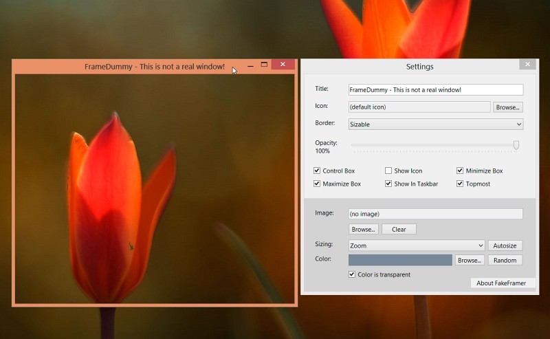FrameDummy 2.0.0.126 software screenshot