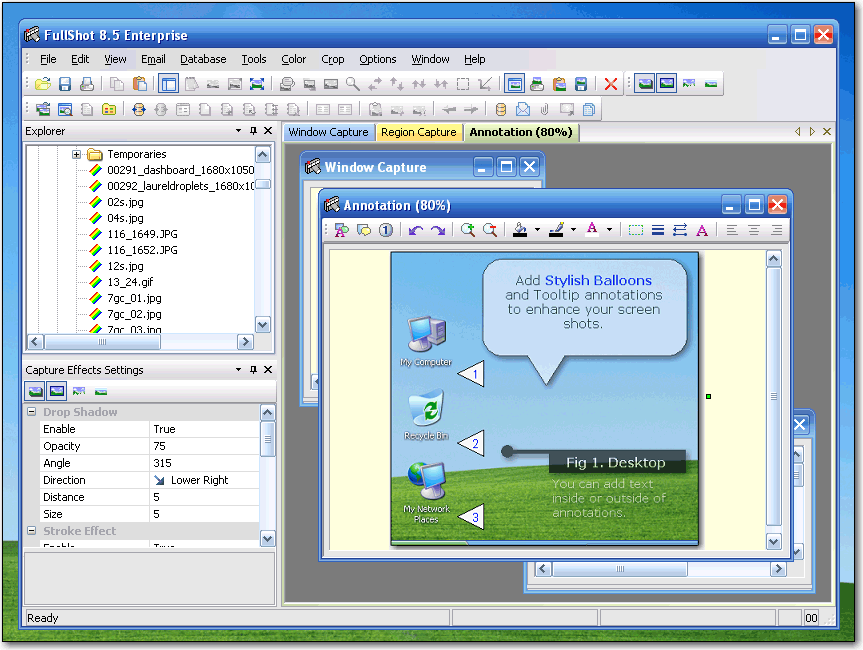 FullShot 9.5.1.4 software screenshot