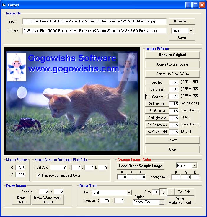 GOGO Picture Viewer Pro ActiveX Control 4.26 software screenshot