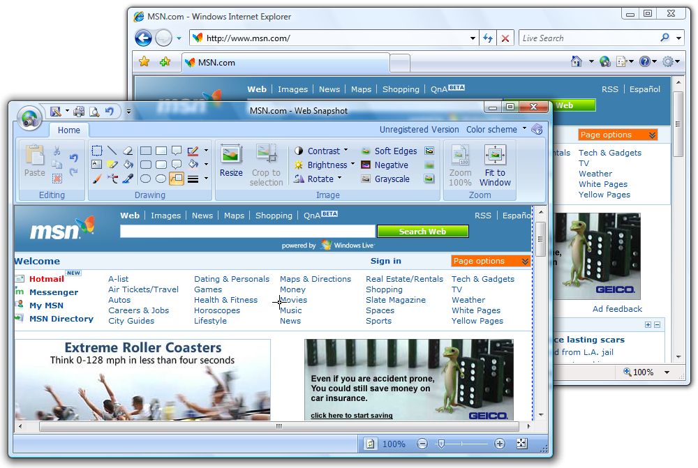 Gadwin Web Snapshot 2.5 software screenshot