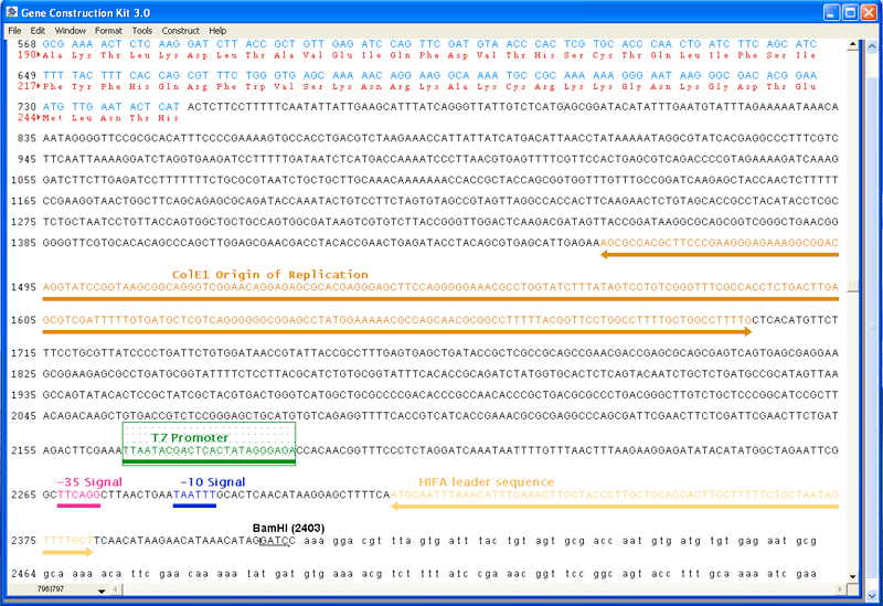 Gene Construction Kit 3.0.4 software screenshot