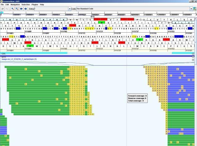 GenomeView 2126 software screenshot