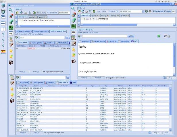GestDB 2.4.003 software screenshot