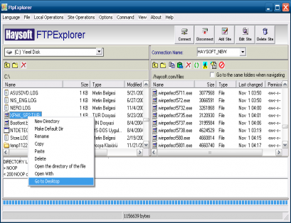 HS FTPExplorer 4.13 software screenshot