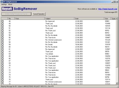 HS SoBigRemover 1.2 software screenshot