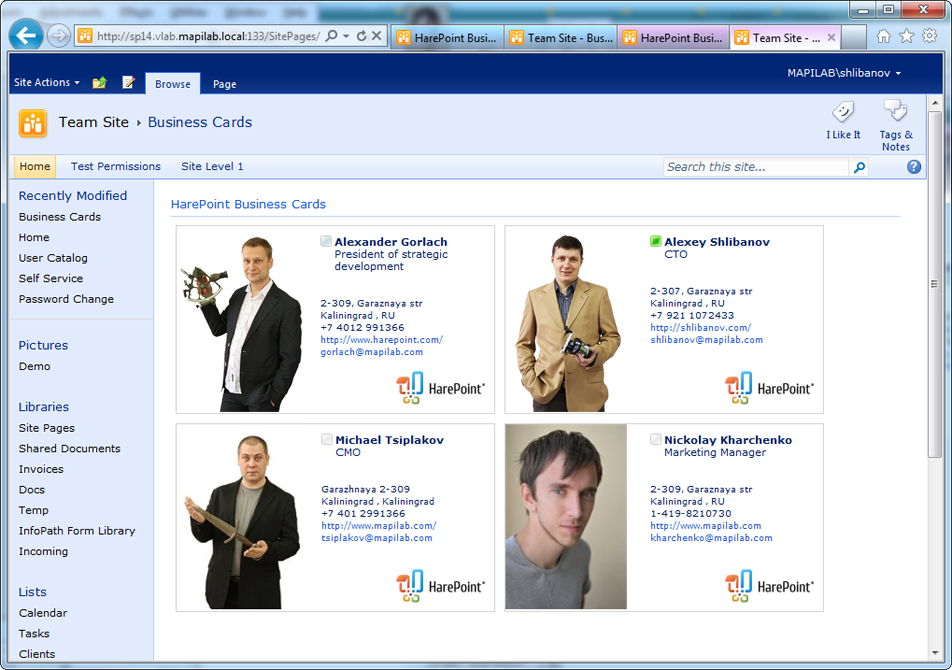 HarePoint Business Cards for SharePoint 1.1.688 software screenshot