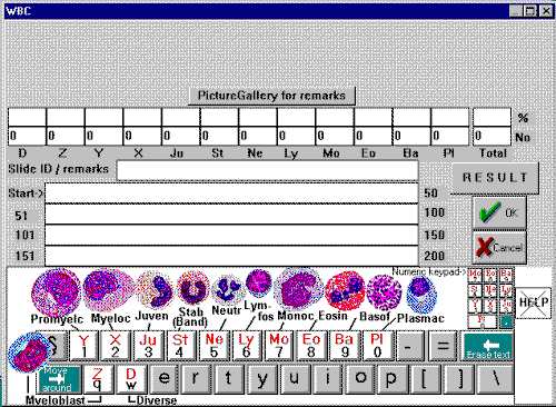 HemoDiff 1.0 software screenshot