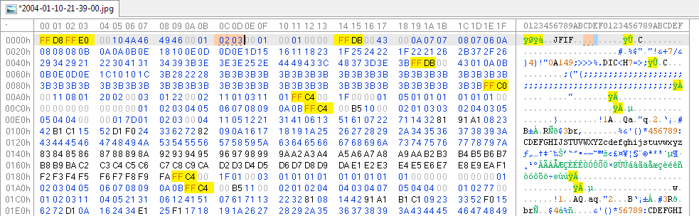 HexEditXP 1.3 (1042) software screenshot