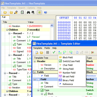 HexTemplate 1.3b software screenshot