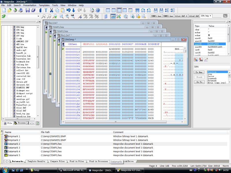 Hexprobe Hex Editor 5.0 software screenshot