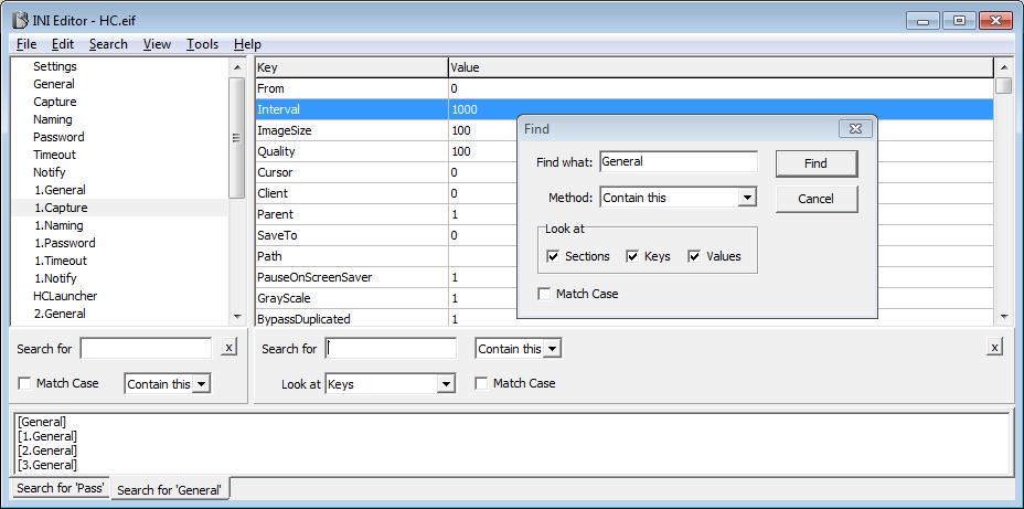INI Editor 4.6 software screenshot