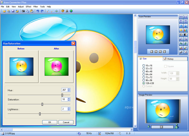 Icon Converter Plus 4.8 software screenshot