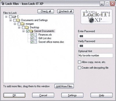 Icon Lock-iT XP 3.3 software screenshot