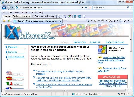 IdiomaX Web Translator 6.00 software screenshot