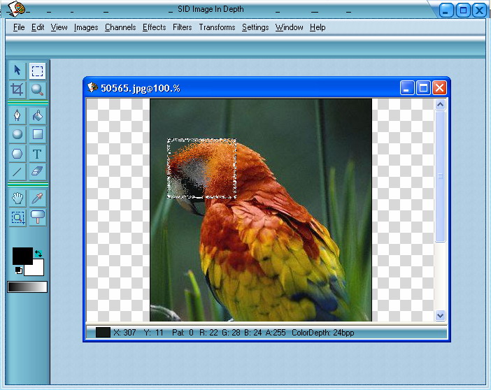 Image InDepth 1.2.0.0 software screenshot