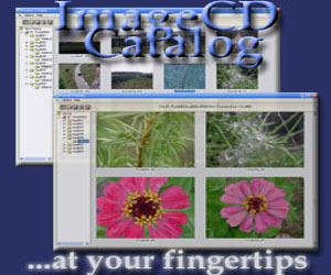 ImageCD Catalog 3.2 software screenshot
