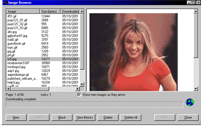 ImageGrabDummy! 2.1 software screenshot
