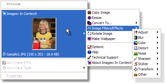 Images: In Context! 1.6 software screenshot