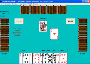 Infinite Spades 2.1 software screenshot