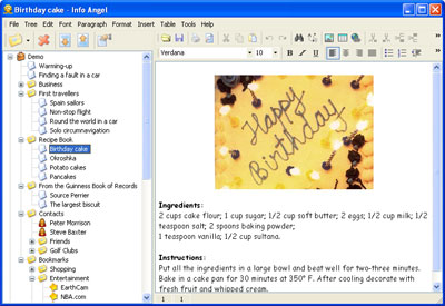 Info Angel 4.2 software screenshot