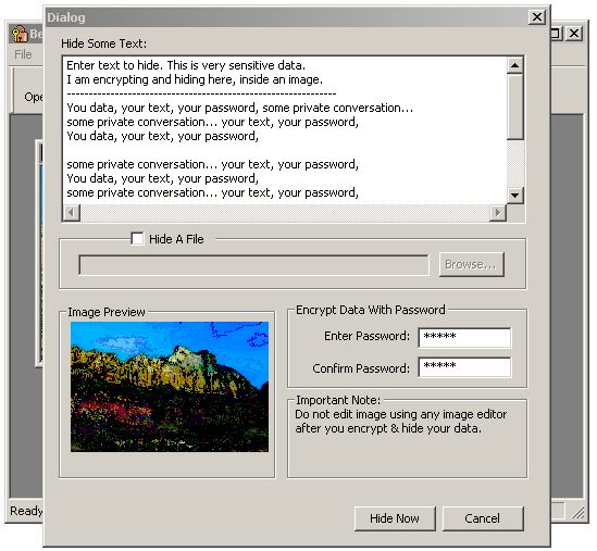 InfoProtect Data Security 1.31 software screenshot