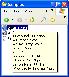InfoTag Magic 1.0.b5 software screenshot