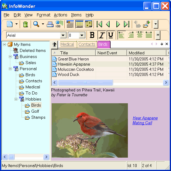 InfoWonder 2.0.4010 software screenshot