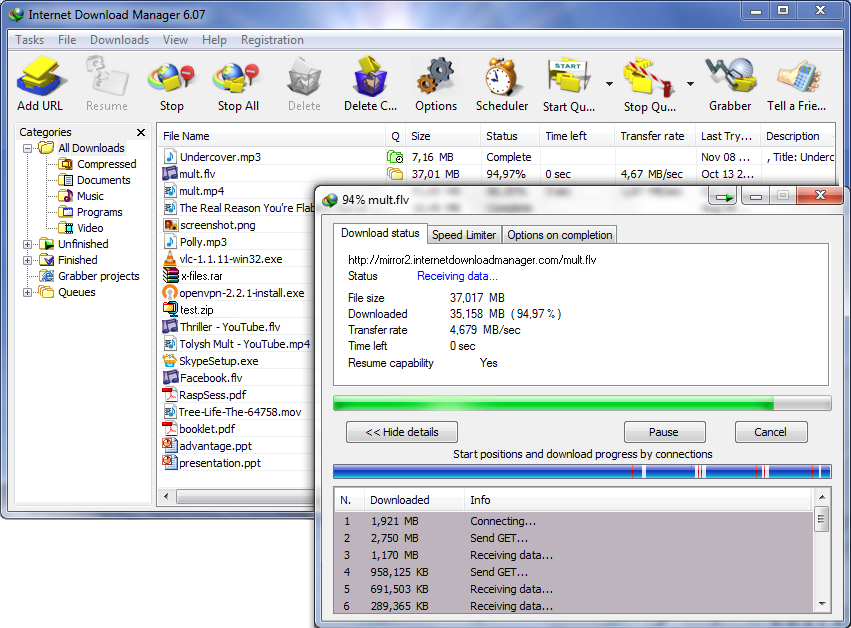 Internet Download Manager 6.28.15 software screenshot