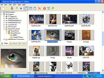 Internet Image Browser 1.2 software screenshot