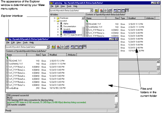 Ipswitch WS_FTP Professional 12.4 software screenshot