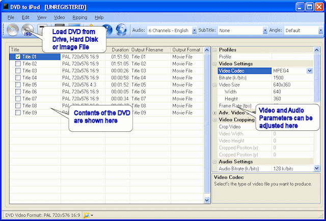 Jesterware DVD to iPod 3.10 software screenshot