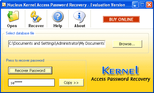 Kernel Access Password Recovery Software 4.02 software screenshot