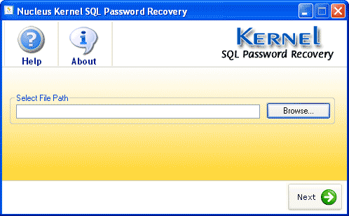 Kernel SQL Password Recovery 4.02 software screenshot