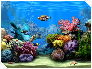 Living Marine Aquarium 2.0 software screenshot
