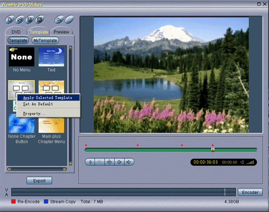 MPEG Video Wizard DVD 5.0.1.112 software screenshot