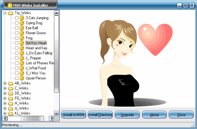 MSN Winks Installer 1.2.2 software screenshot