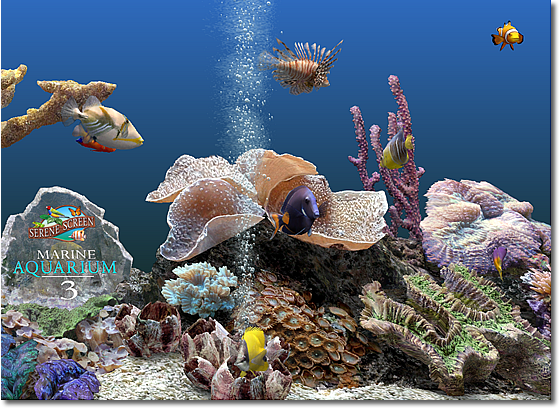 Marine Aquarium 3 3.0 software screenshot