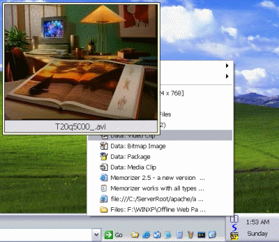 Memorizer eXP 5.5 software screenshot