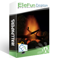 Midnight Fire - Animated Wallpaper for to mp4 4.39 software screenshot