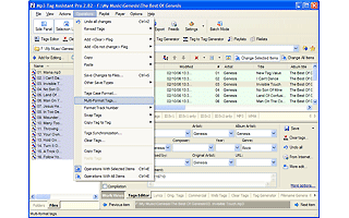 Mp3 Tag Assistant Professional 2.9.4.335 software screenshot