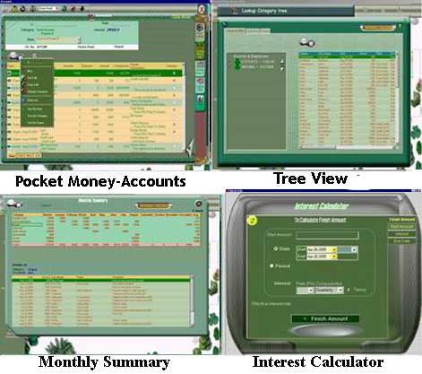 MyLife Pocket Money Personal Accounts  5 8.4 software screenshot