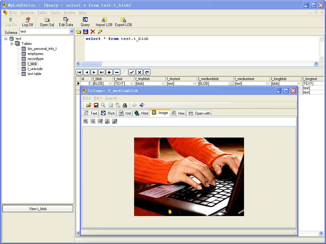 MyLobEditor 2.7.1.170311 software screenshot