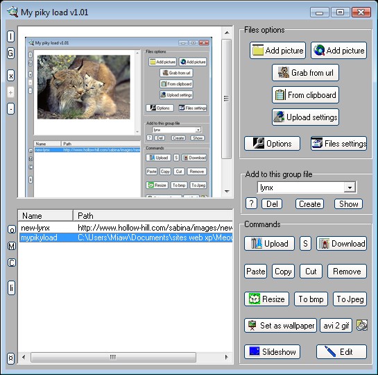 Mypikyload 1.01 software screenshot